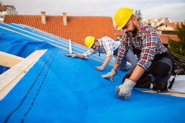 Best Metal Roofing Contractor  in De Soto, IA
