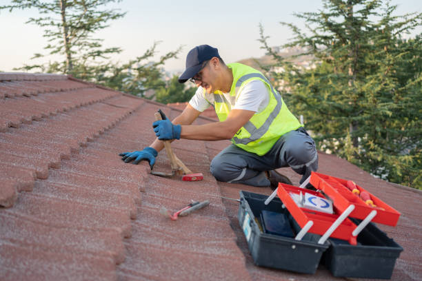 Best Gutter Installation and Roofing  in De Soto, IA