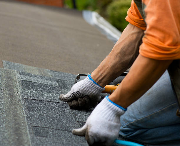 Best Roof Leak Repair  in De Soto, IA