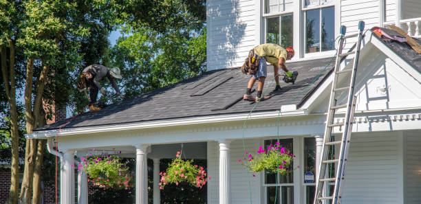 Best Metal Roofing Contractor  in De Soto, IA